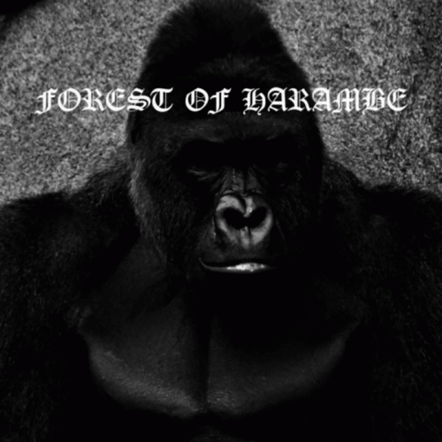 Forest Of Harambe : Under the Sign of Harambe